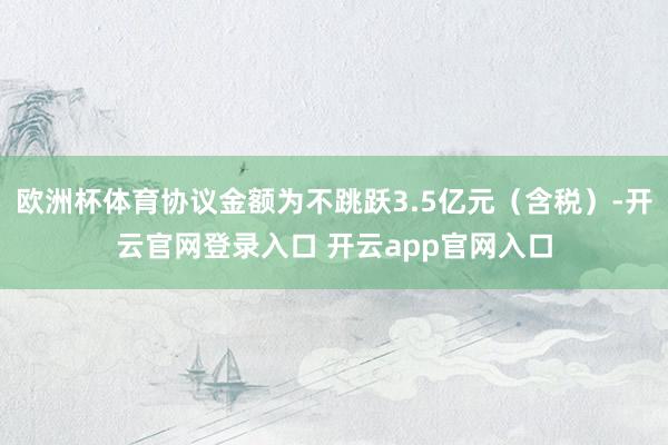 欧洲杯体育协议金额为不跳跃3.5亿元（含税）-开云官网登录入口 开云app官网入口