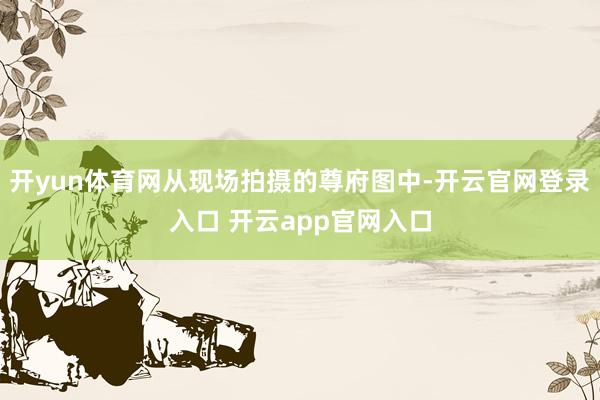 开yun体育网从现场拍摄的尊府图中-开云官网登录入口 开云app官网入口