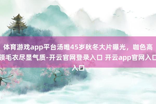 体育游戏app平台汤唯45岁秋冬大片曝光，咖色高领毛衣尽显气质-开云官网登录入口 开云app官网入口